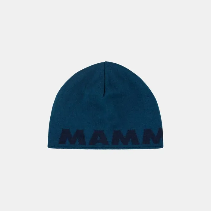 Accessories Men Mammut Logo Beanie Deep Icemarine