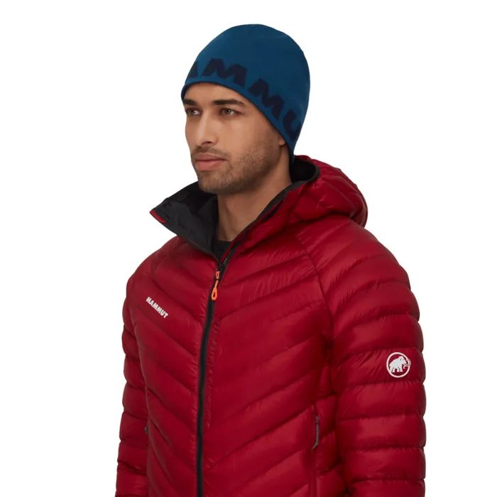 Accessories Men Mammut Logo Beanie Deep Icemarine Accessories Men Mammut Logo Beanie Deep Icemarine