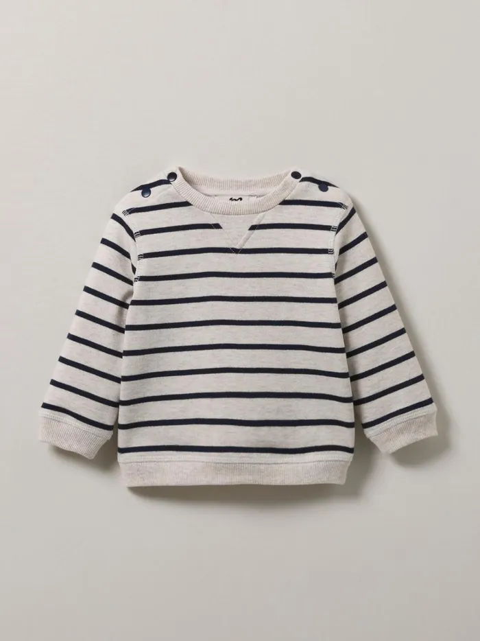 Baby Baby Boy Cyrillus Stripe Organic Cotton Sweater Rayure Marineecru