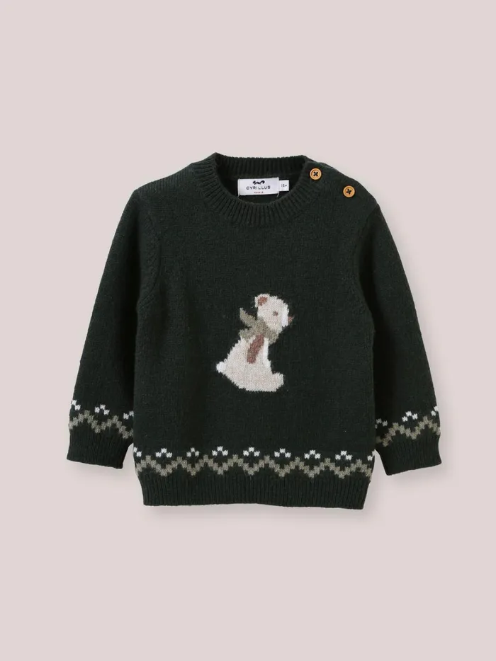 Baby Baby Boy Cyrillus Wool Bear Sweater Vert Chasse
