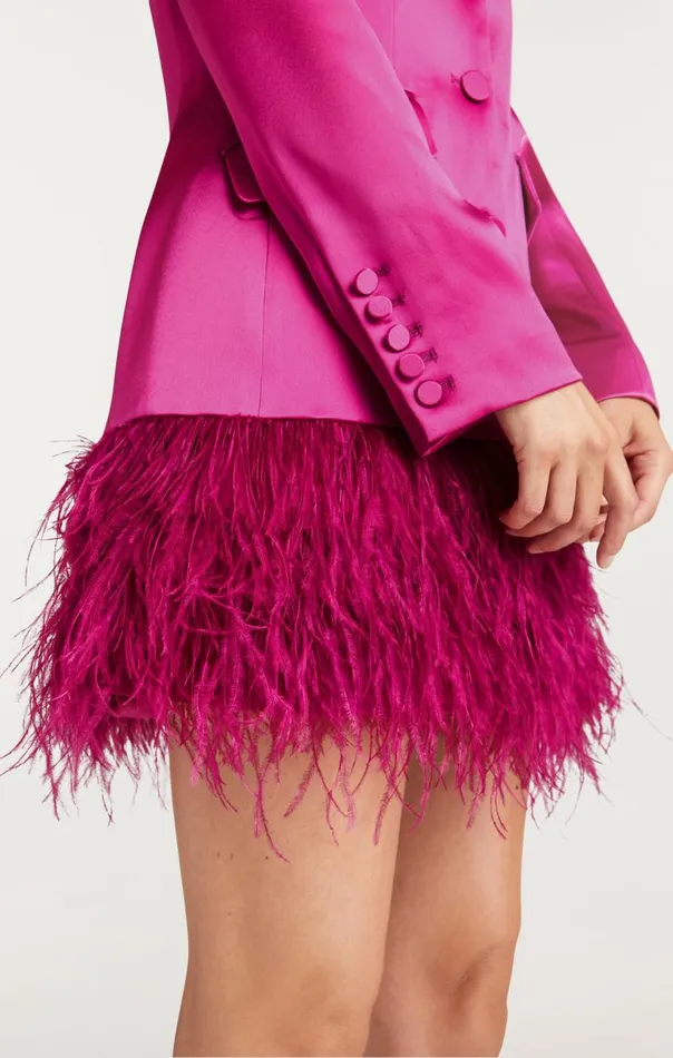 Cinq Sept Long Sleeeve Feather Joel Dress Plumradish Women Mini