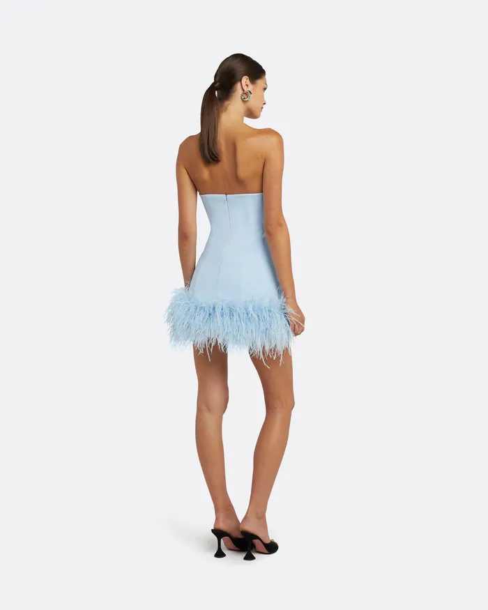Icons Safiyaa Women Rowan Pale Blue FeatherTrimmed Short Dress Pale Blue