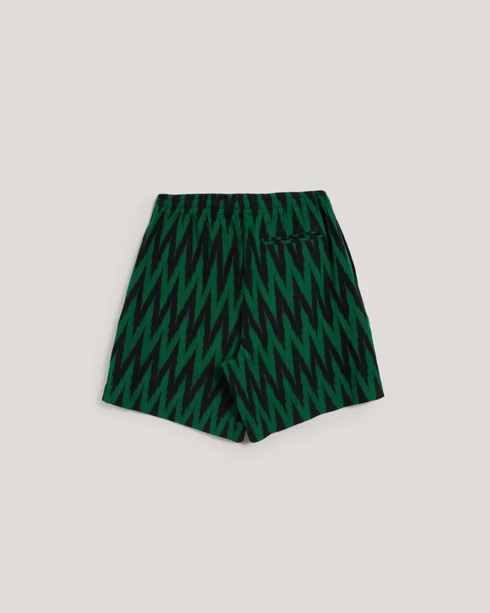 Men Jay Short Green Multi YMC Trousers and Shorts