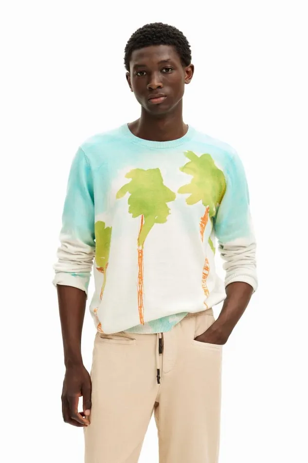Men Jumpers And Sweatshirts Desigual Watercolor Knit Sweater