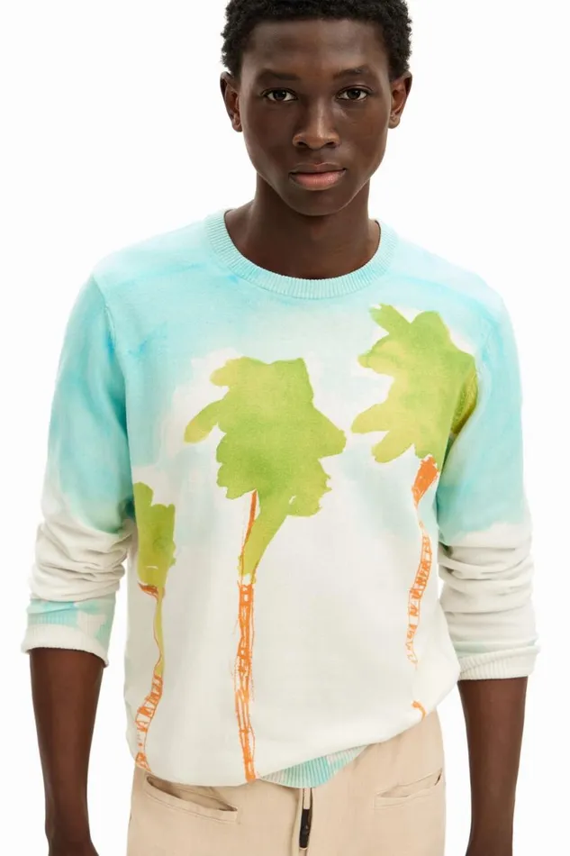 Men Jumpers And Sweatshirts Desigual Watercolor Knit Sweater