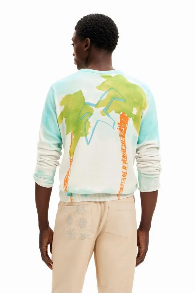 Men Jumpers And Sweatshirts Desigual Watercolor Knit Sweater