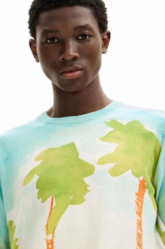 Men Jumpers And Sweatshirts Desigual Watercolor Knit Sweater