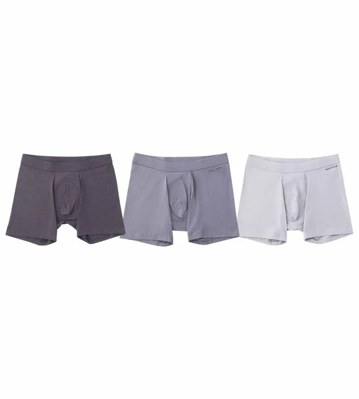 Men Quick Dry Action Blend Cotton Boxer Briefs Grey Underwear 3 Pack Pair Of Thieves Boxer Briefs Men Quick Dry Action Blend Cotton Boxer Briefs Grey Underwear 3 Pack Pair Of Thieves Boxer Briefs