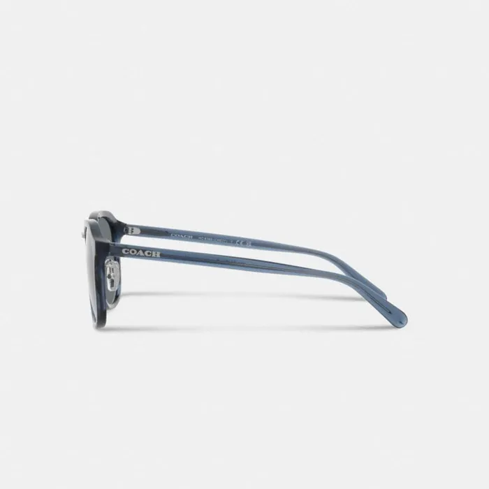 Men Rounded Geometric Sunglasses Blue Tortoise Coach Sunglasses