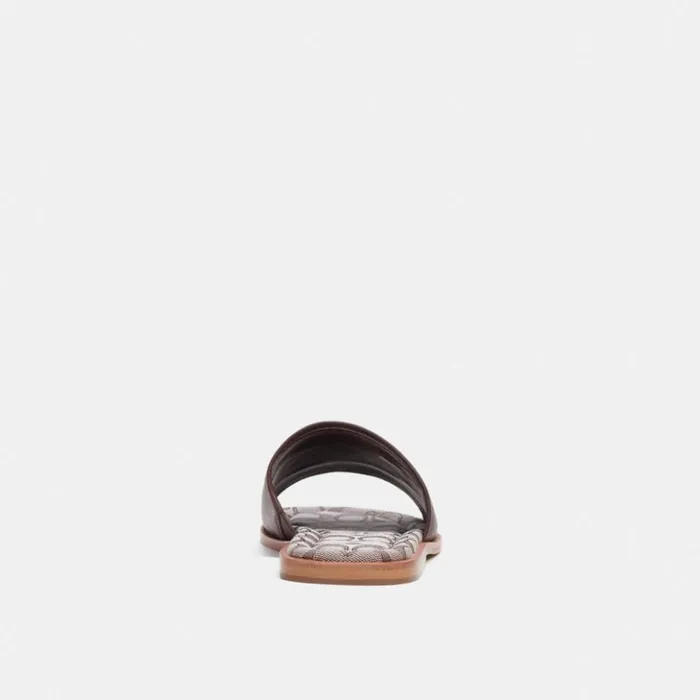 Men Sandal With Signature Jacquard Maple Coach Sandals and Slides