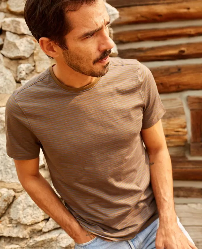 ToadandCo TShirts Tempo Short Sleeve Crew Fir Stripe 8211 Men039s