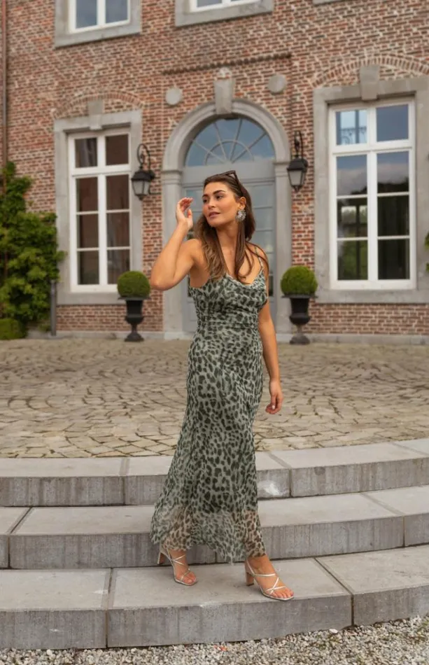 Women039s Clothing Dresses Easy Clothes Khaki Leopard Ludo Dress Khaki Leopard