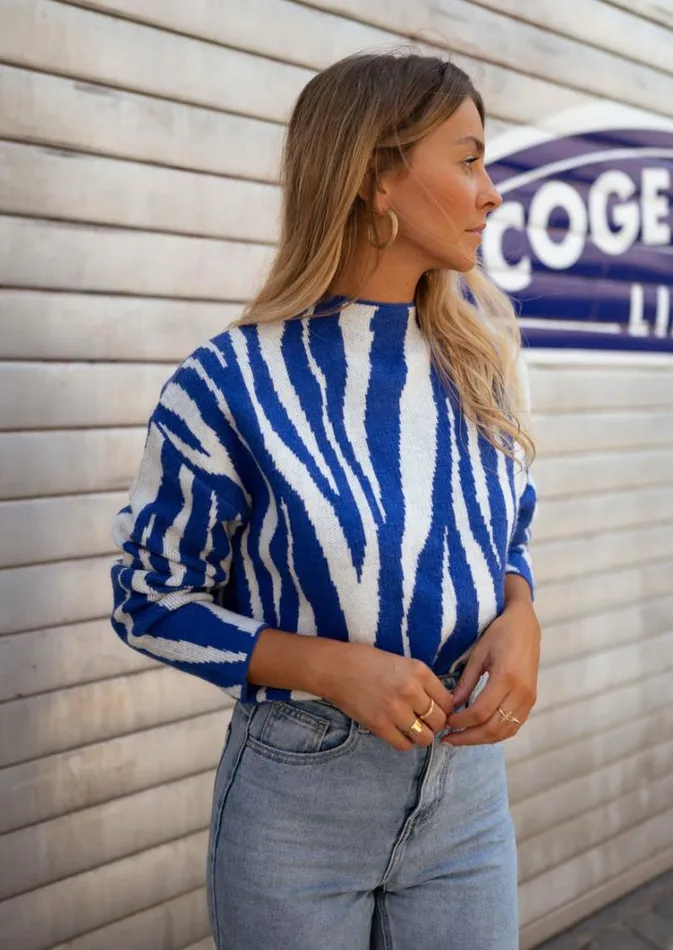 Women039s Clothing Sweaters Easy Clothes Blue Amine Zebra Sweater