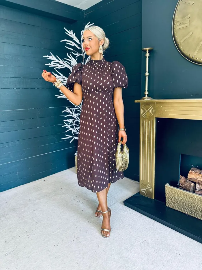 Women Day Dress Canella Lane Lilith Puff Sleeve High Neck Midi Dress Coco and Gold
