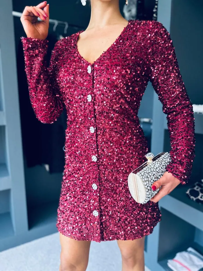 Women Day Dress Canella Lane Lilly Detailed Sequin Mini Dress Burgundy