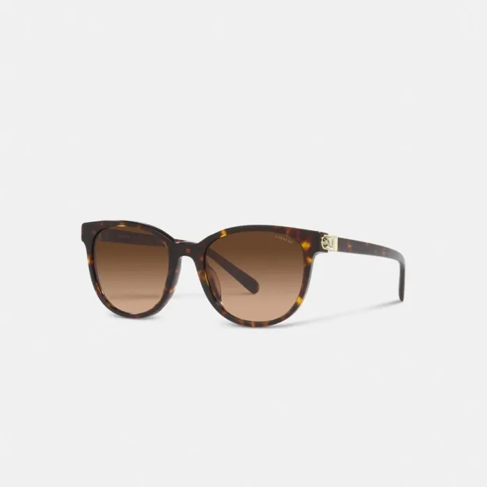 Women Horse And Carriage Round Sunglasses Dark Tortoise Coach Eyewear
