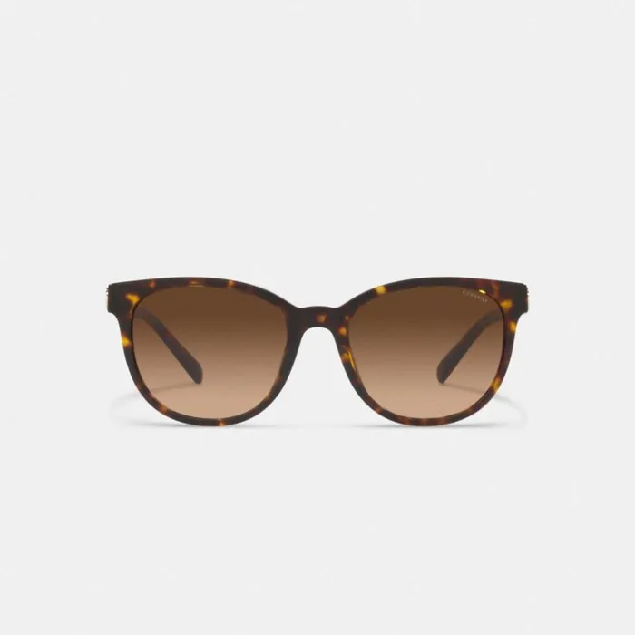Women Horse And Carriage Round Sunglasses Dark Tortoise Coach Eyewear