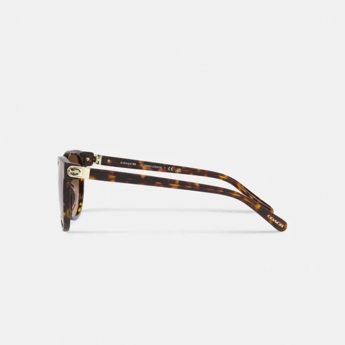 Women Horse And Carriage Round Sunglasses Dark Tortoise Coach Eyewear