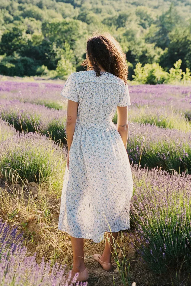 Women The Dawn Dress Petites Sea Spray Petite Sizing Christy Dawn Women The Dawn Dress Petites Sea Spray Petite Sizing Christy Dawn