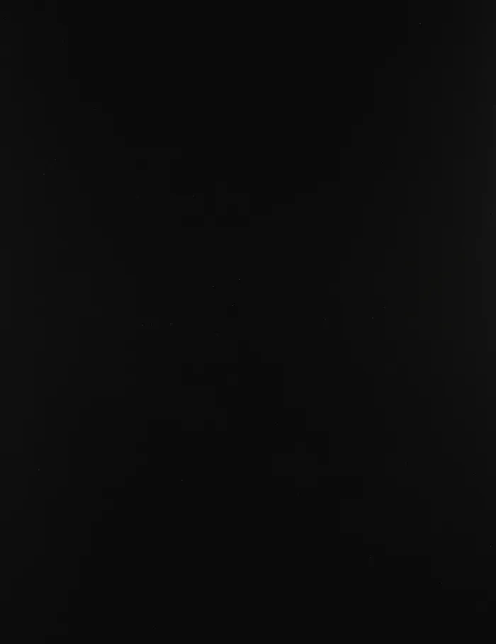 Women Zimmermann One Pieces Waverly One Shoulder 1pc Noir